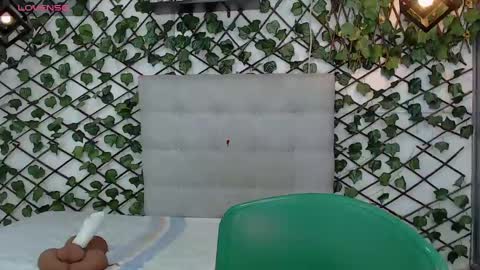 Snapshot of rous_55 chatting on 03.01.25 Rous online show from 03.01.25