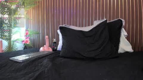 Snapshot of roxie_ns chatting on 04.11.26 Roxie online show from 04.11.26