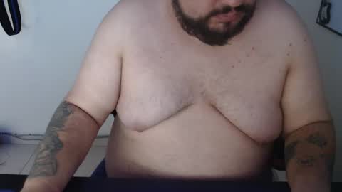 Bear online show from 01.08.26