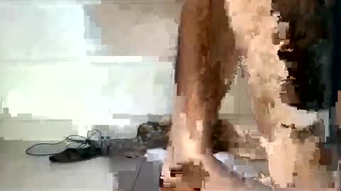 tareq online show from 12.05.24