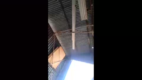 rustynuts95716 online show from 03.10.26