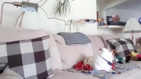 Snapshot of rustyx22 chatting on 03.08.25 Rusty online show from 03.08.25