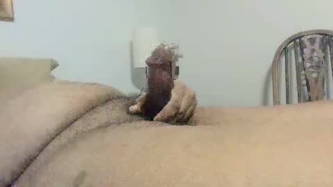 Snapshot of s901258 chatting on 12.08.24 s901258 online show from 12.08.24