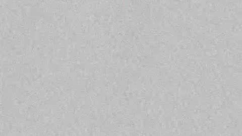 Leslie Beltrn online show from 10.06.25