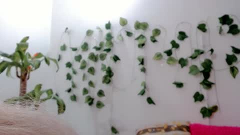 SABRI online show from 09.25.25