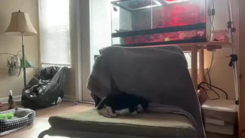 Snapshot of sabrosocockcarnesandwich chatting on 10.05.25 sabrosocockcarnesandwich online show from 10.05.25