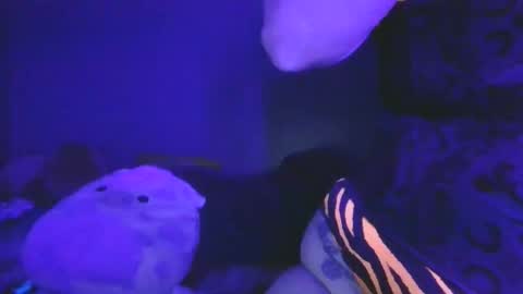 saddybaddie online show from 03.13.26