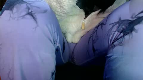 Karina online show from 03.31.26