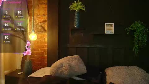 SARA online show from 02.20.26