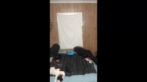 PupTwink online show from 02.03.26