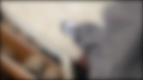 Snapshot of salgemma chatting on 03.02.26 salgemma online show from 03.02.26