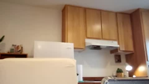 Snapshot of salis1981 chatting on 03.02.25 salis1981 online show from 03.02.25