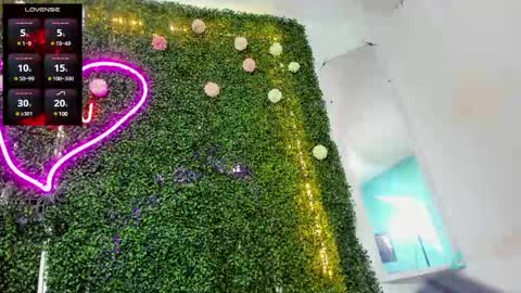 salome online show from 12.12.24