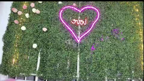 salome online show from 01.25.25