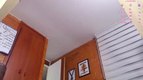 SAMANTHA online show from 06.11.26