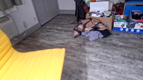 Snapshot of samboiamtho chatting on 01.03.25 samboiamtho online show from 01.03.25