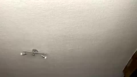 Snapshot of samegee chatting on 10.01.25 samegee online show from 10.01.25