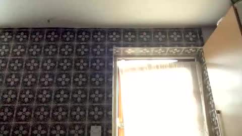 Snapshot of samegee chatting on 10.16.25 samegee online show from 10.16.25