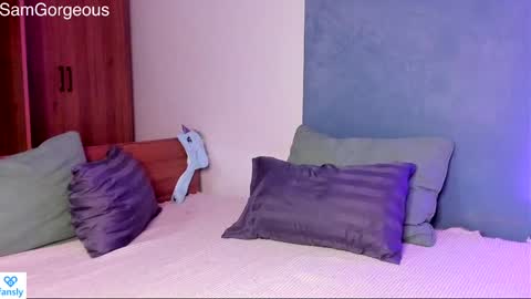 Snapshot of samgorgeous chatting on 01.12.25 Fansly - Top4fans online show from 01.12.25