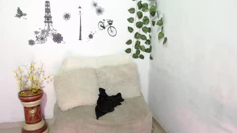 SAMIRA online show from 01.08.25