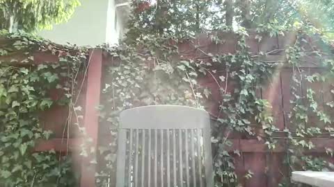 Playful Sammie online show from 05.17.26