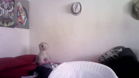 Snapshot of sammy_mcklain chatting on 03.01.26 sammy_mcklain online show from 03.01.26