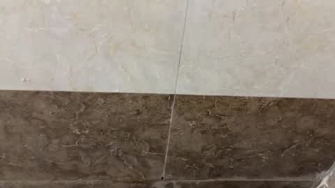 samnivin online show from 11.01.25