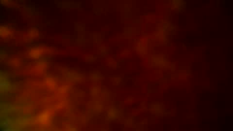 samueltal online show from 09.19.25