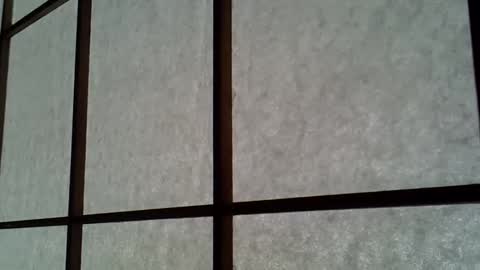 ssk online show from 04.11.26