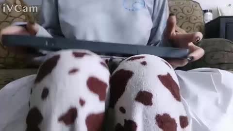 sandi online show from 04.04.26