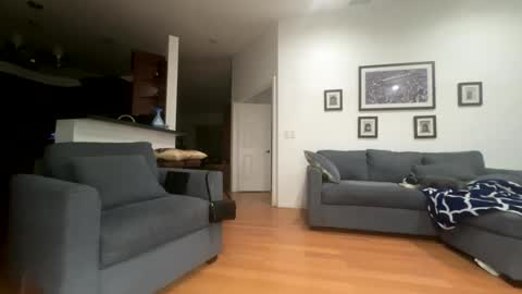 Santana online show from 02.21.26