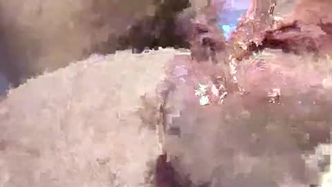 Snapshot of sappyhaha chatting on 11.12.25 sappyhaha online show from 11.12.25