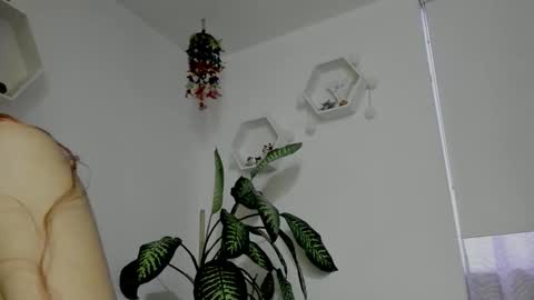 Saray  online show from 02.05.26