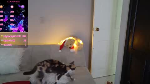 Saritha online show from 03.22.26