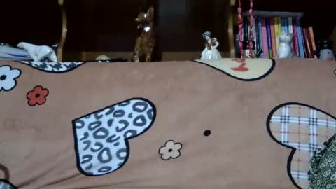 Sarra online show from 12.07.24