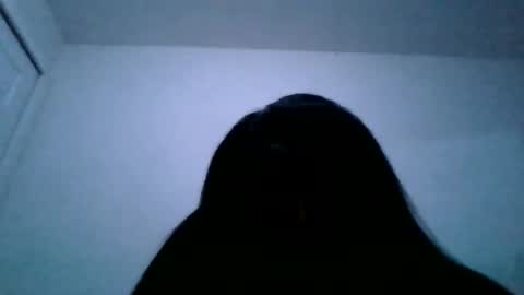 Snapshot of sashacoxxx chatting on 12.01.25 sashacoxxx online show from 12.01.25