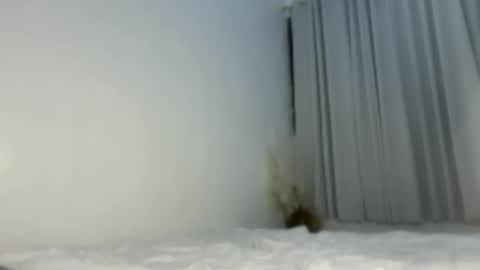 sassykayla online show from 05.15.26