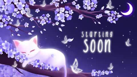 Snapshot of sassykittyn chatting on 02.17.25 Sassy Sami Kittyn online show from 02.17.25