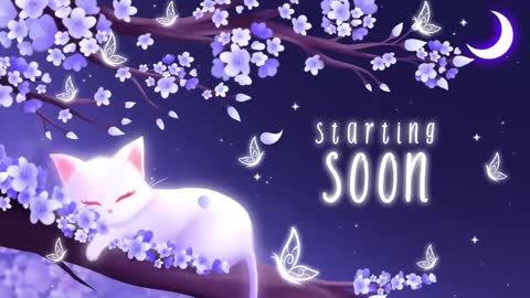 Snapshot of sassykittyn chatting on 03.11.25 Sassy Sami Kittyn online show from 03.11.25