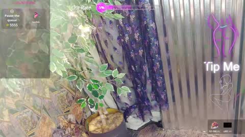 Snapshot of sassylatin45 chatting on 01.12.25 sassylatin45 online show from 01.12.25