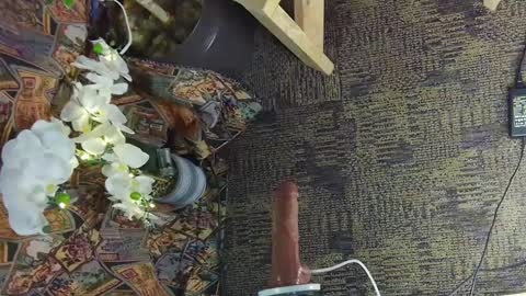 Snapshot of sassylatin45 chatting on 03.02.25 sassylatin45 online show from 03.02.25