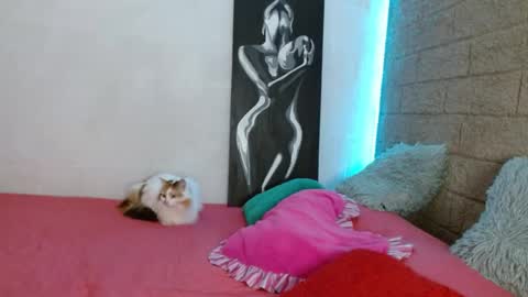 Snapshot of sativa_29 chatting on 12.13.24 Sativa online show from 12.13.24