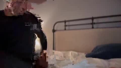 Snapshot of sbsdbfs chatting on 11.18.25 sbsdbfs online show from 11.18.25