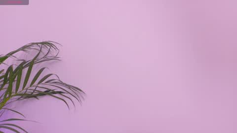 Scarlet online show from 07.14.26