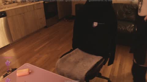 Snapshot of scarletbrainrot chatting on 01.25.25 scarlet3 online show from 01.25.25