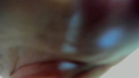 Scarlett zin follow me online show from 03.27.26