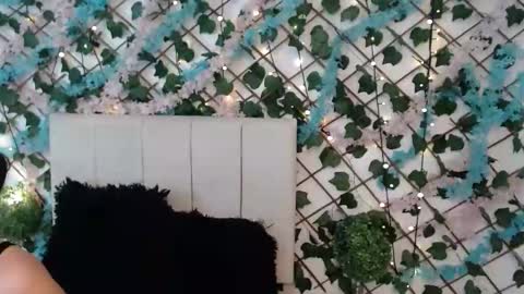 Snapshot of sccarlettjonnes chatting on 01.17.26 SCARLET online show from 01.17.26