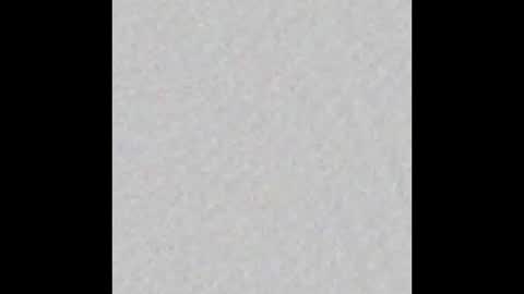 Scolw  online show from 12.18.25