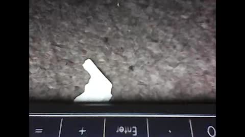 scots_repeater online show from 02.14.25