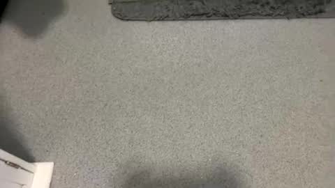 scottyc48 online show from 10.05.25